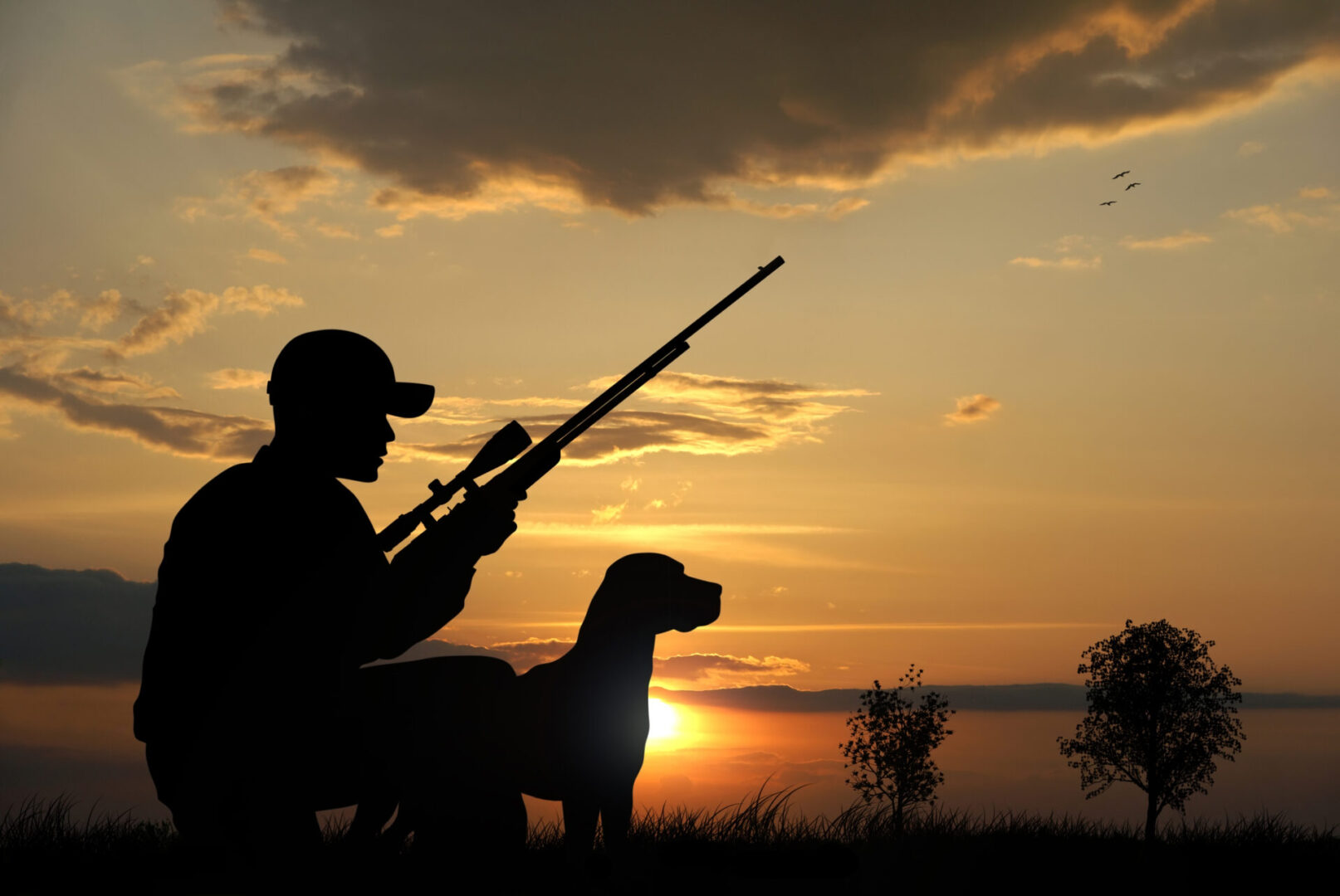 Rules and Regulations for Deer Hunting Season in Ohio AimHi