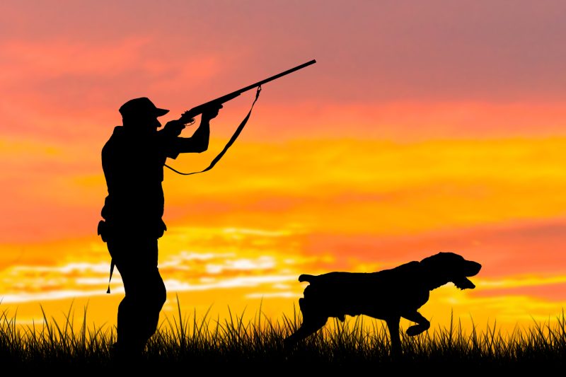Ohio DNR sets 2024–25 Hunting Seasons, Regulations